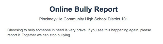 Bullying Report